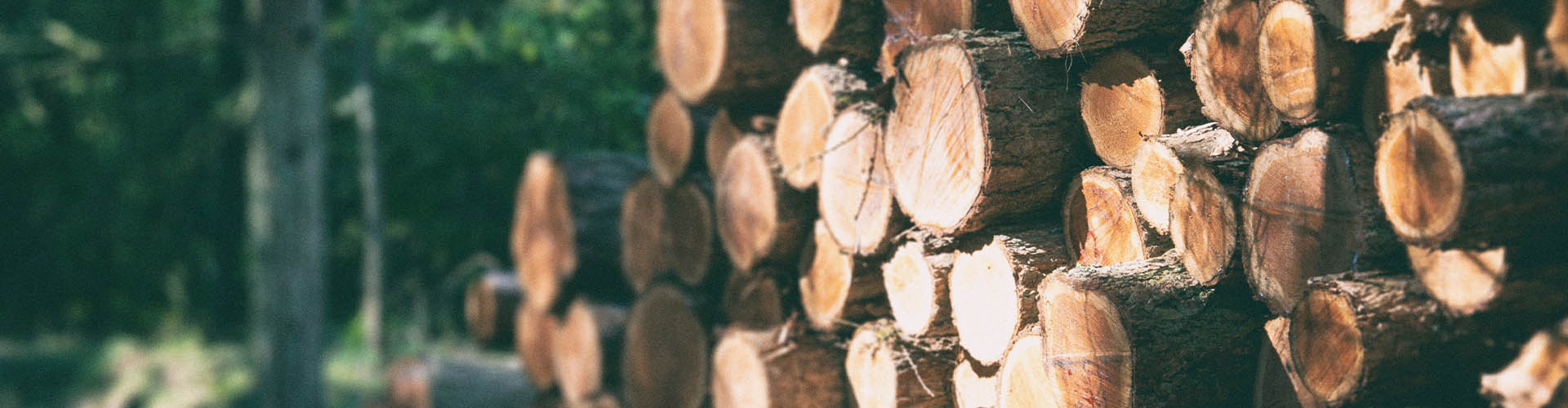 this image shows FSC certified wood