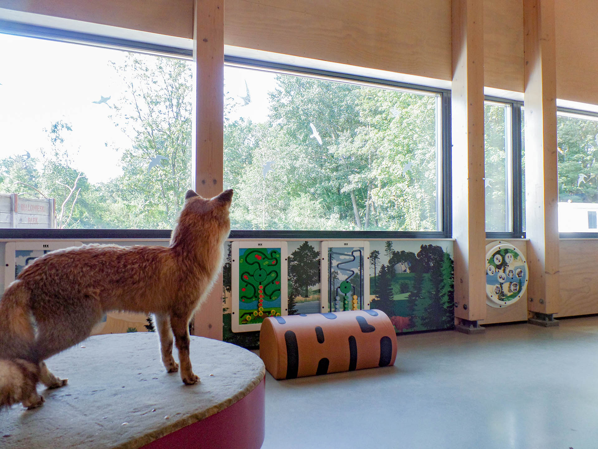 This picture shows a play corner in a visitors information centre of a Dutch national park